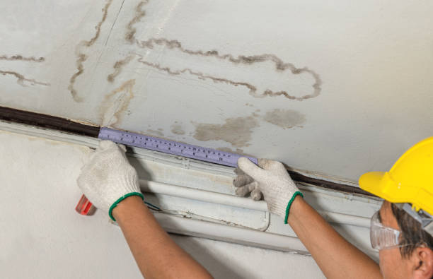 Reliable Mold Remediation contractor in Redbird, OK by Water Damage Irwin